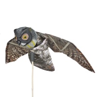 Hunting bait - wings owl