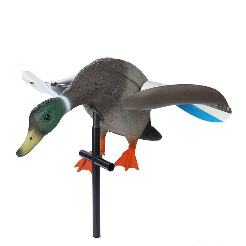 model duck
