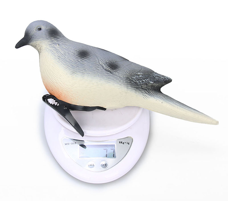 bird weight
